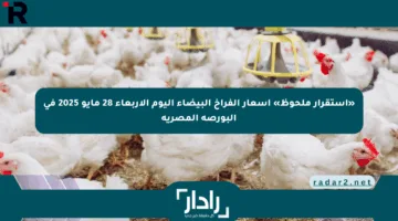 «استقرار ملحوظ» أسعار الفراخ البيضاء اليوم الأربعاء 28 مايو 2025 في البورصة المصرية